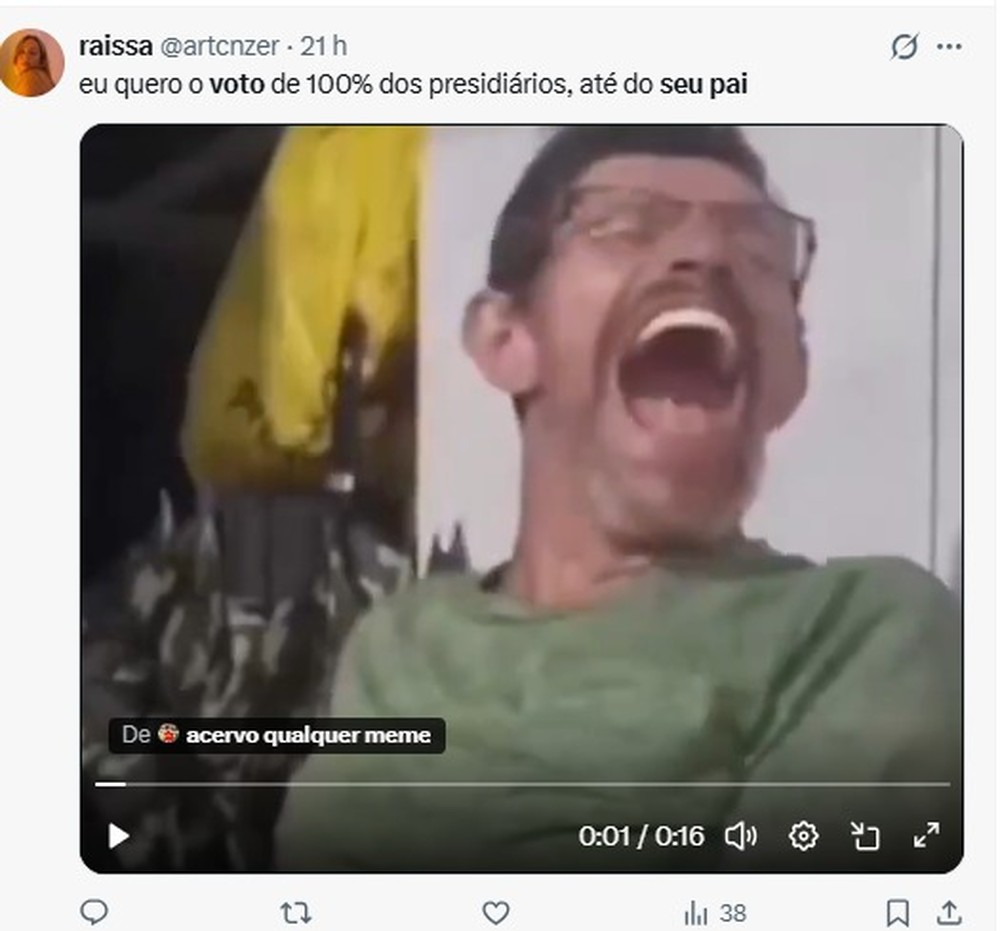 "Vote em mim, Bolsonaro" — Foto: Reprodução