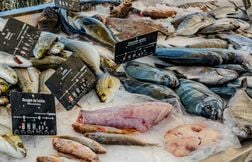 Pour sa santé, vaut‑il mieux manger des petits ou des grands poissons ?