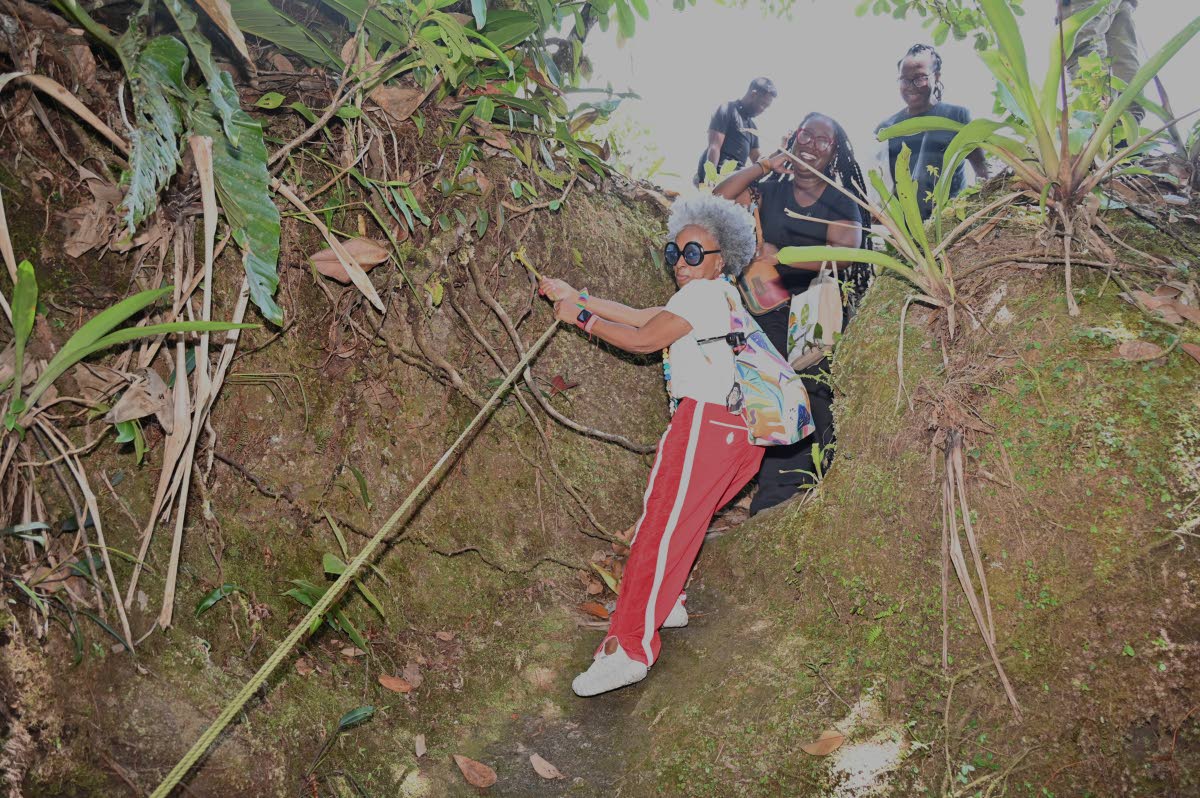 Travel writer Sarah Greaves-Gabbidon swings along one of the walkways through the rainforest.