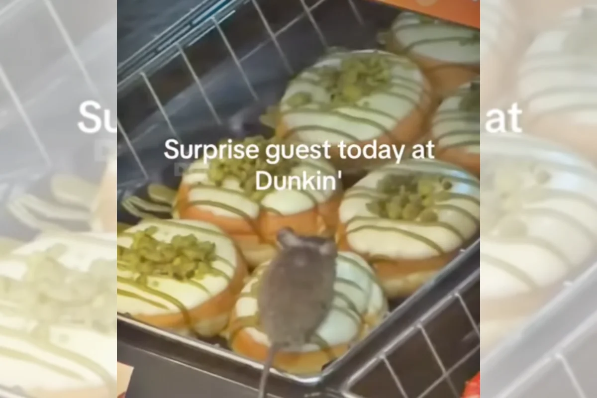 Sabor "Ratatouille"? Vídeo mostra rato em cima de donut exposto em vitrine