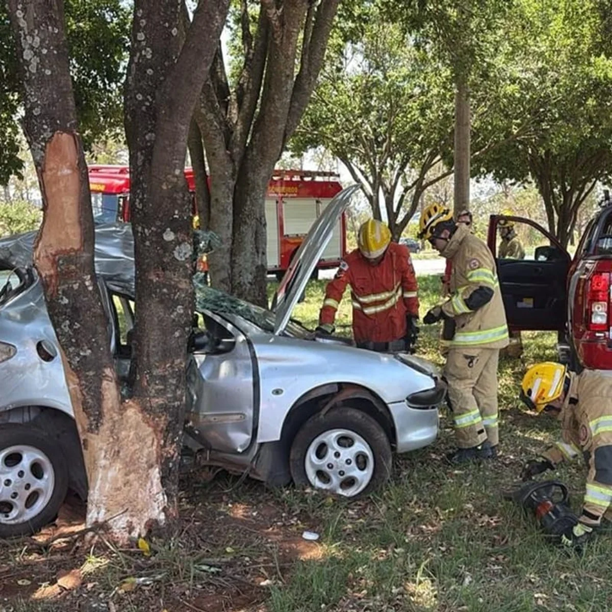 Motorista morre ao bater carro em árvore na BR-020, no balão do Colorado