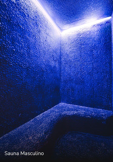 Sauna Masculina - Les Cinq Gym — Foto: Reprodução/Site