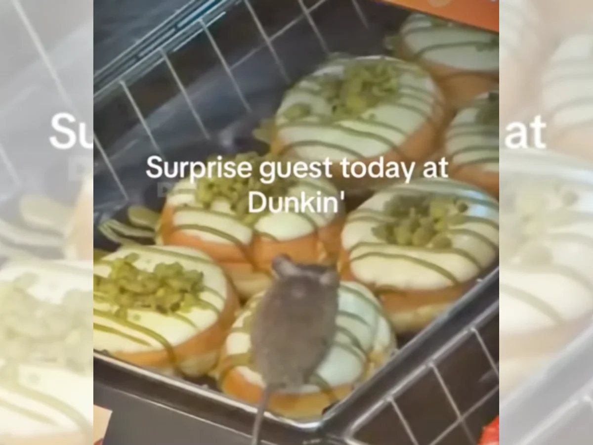 Sabor "Ratatouille"? Vídeo mostra rato em cima de donut exposto em vitrine