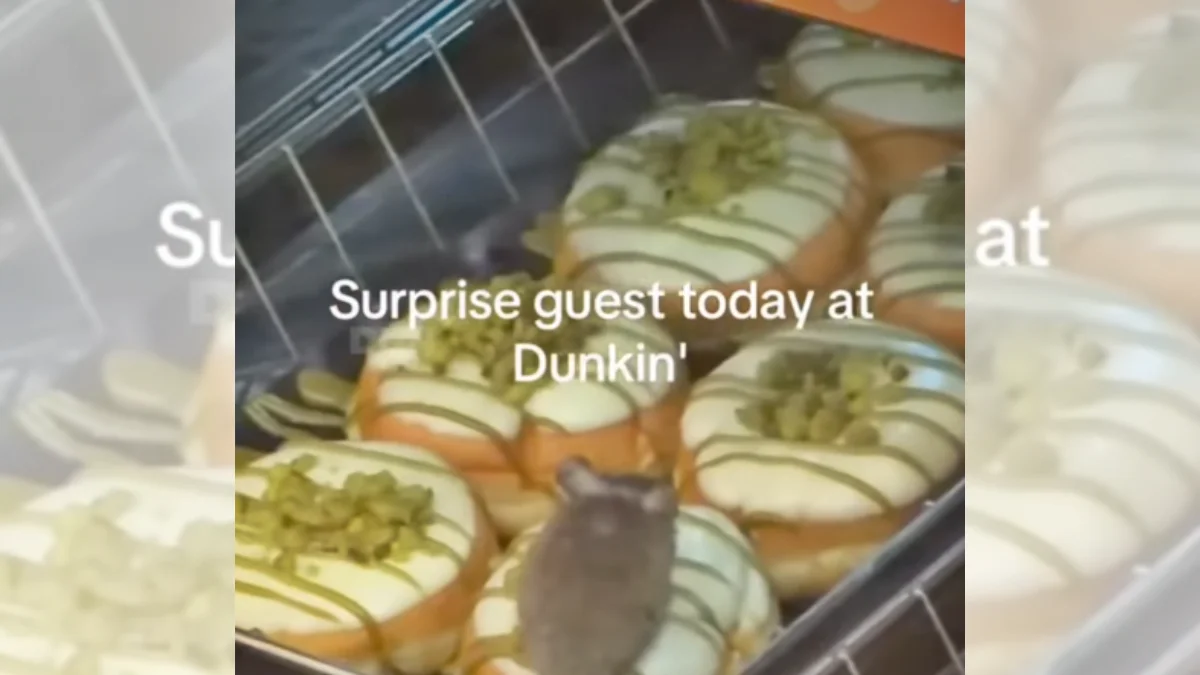 Sabor "Ratatouille"? Vídeo mostra rato em cima de donut exposto em vitrine