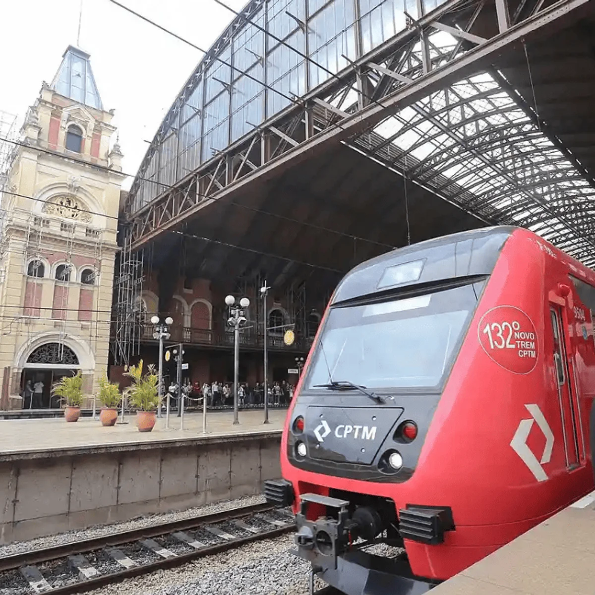Queda de árvore afeta operação da Linha 7-Rubi de trem nesta segunda