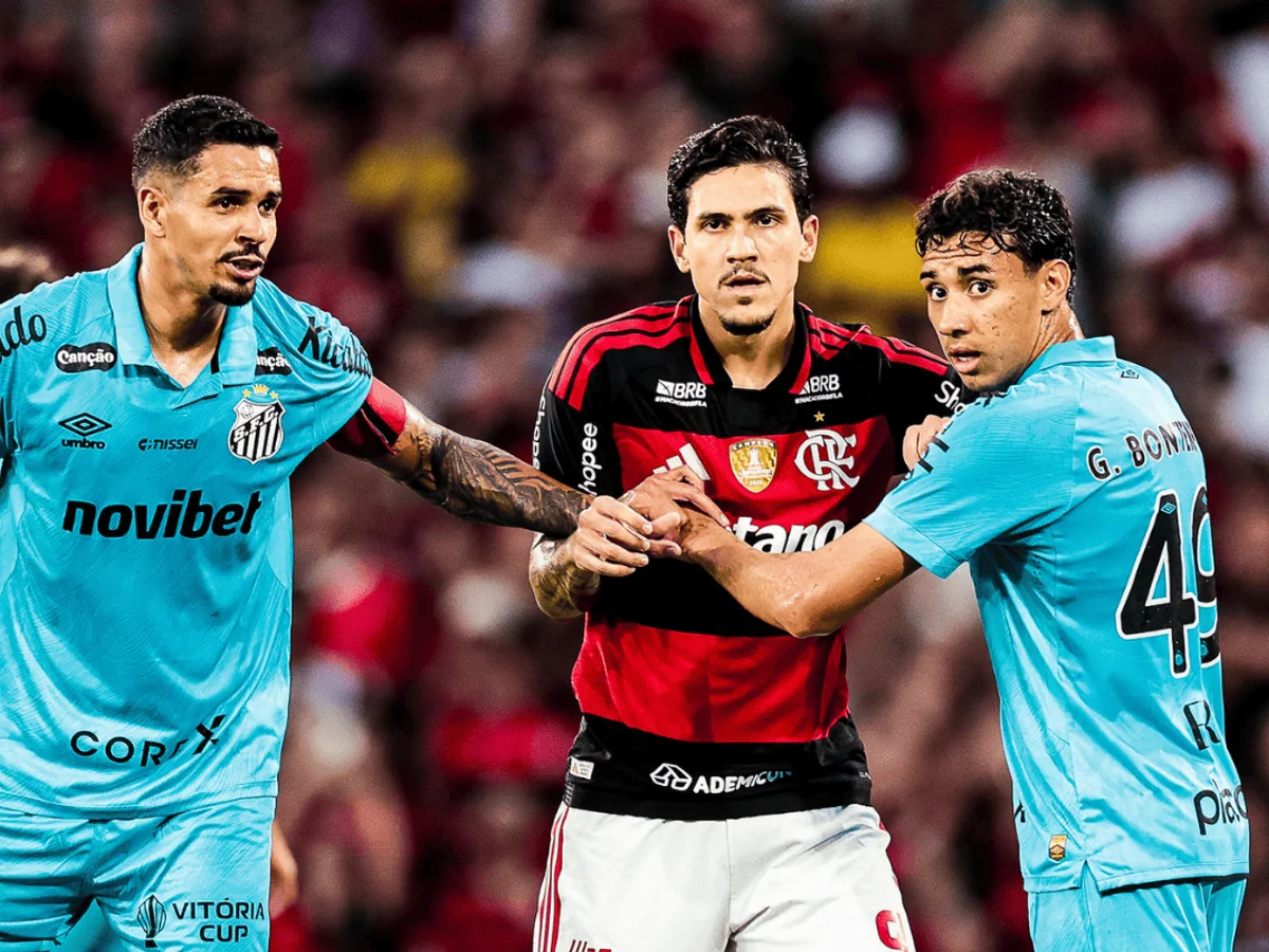 Melhores campanhas do returno, Santos e Flamengo jogam pelo Brasileirão