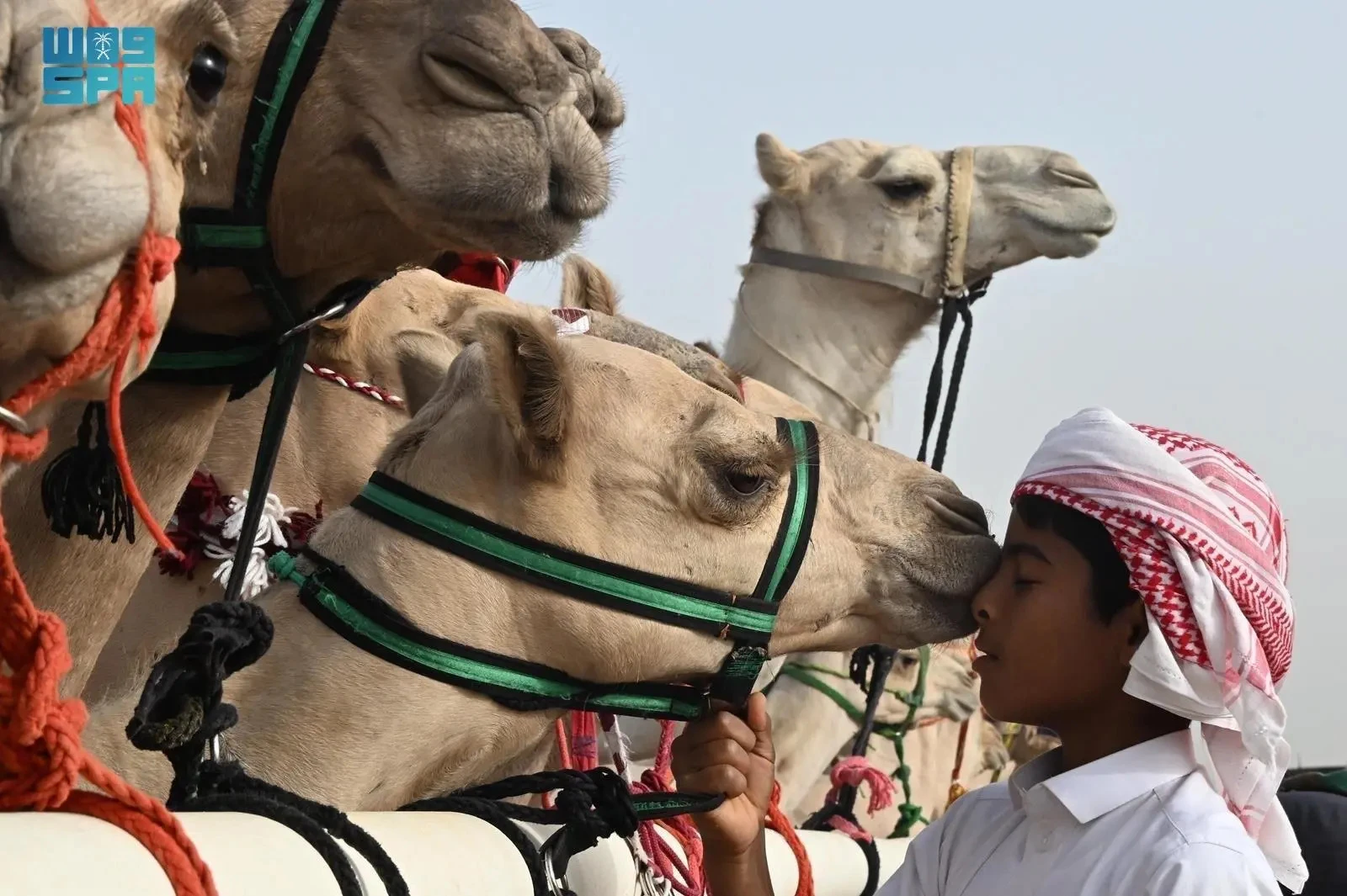 Iniciativa juvenil da Arábia Saudita visa combater resíduos eletrônicos