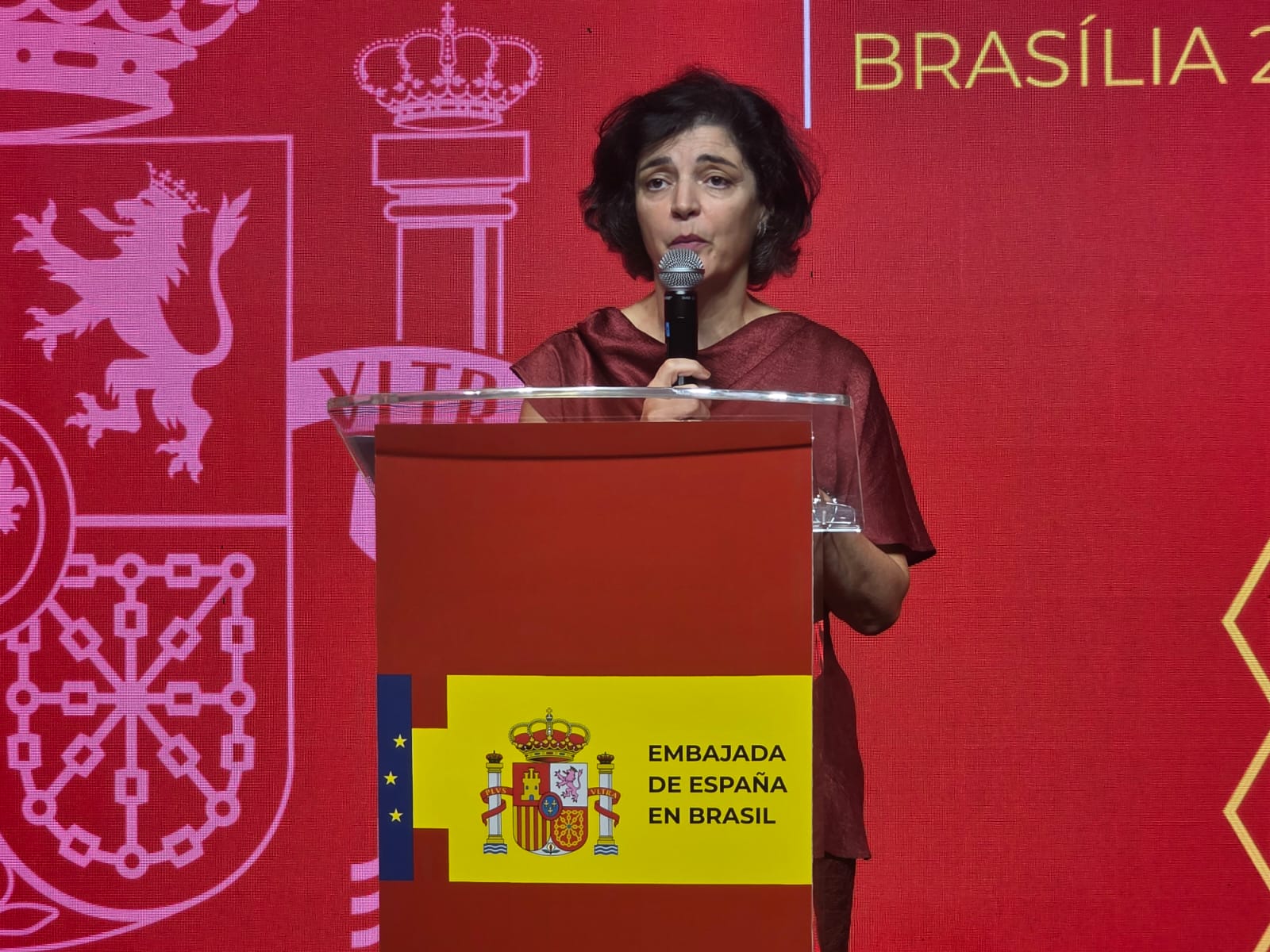 ‘Compartilhamos uma agenda de defesa da democracia’, diz embaixadora espanhola no Brasil