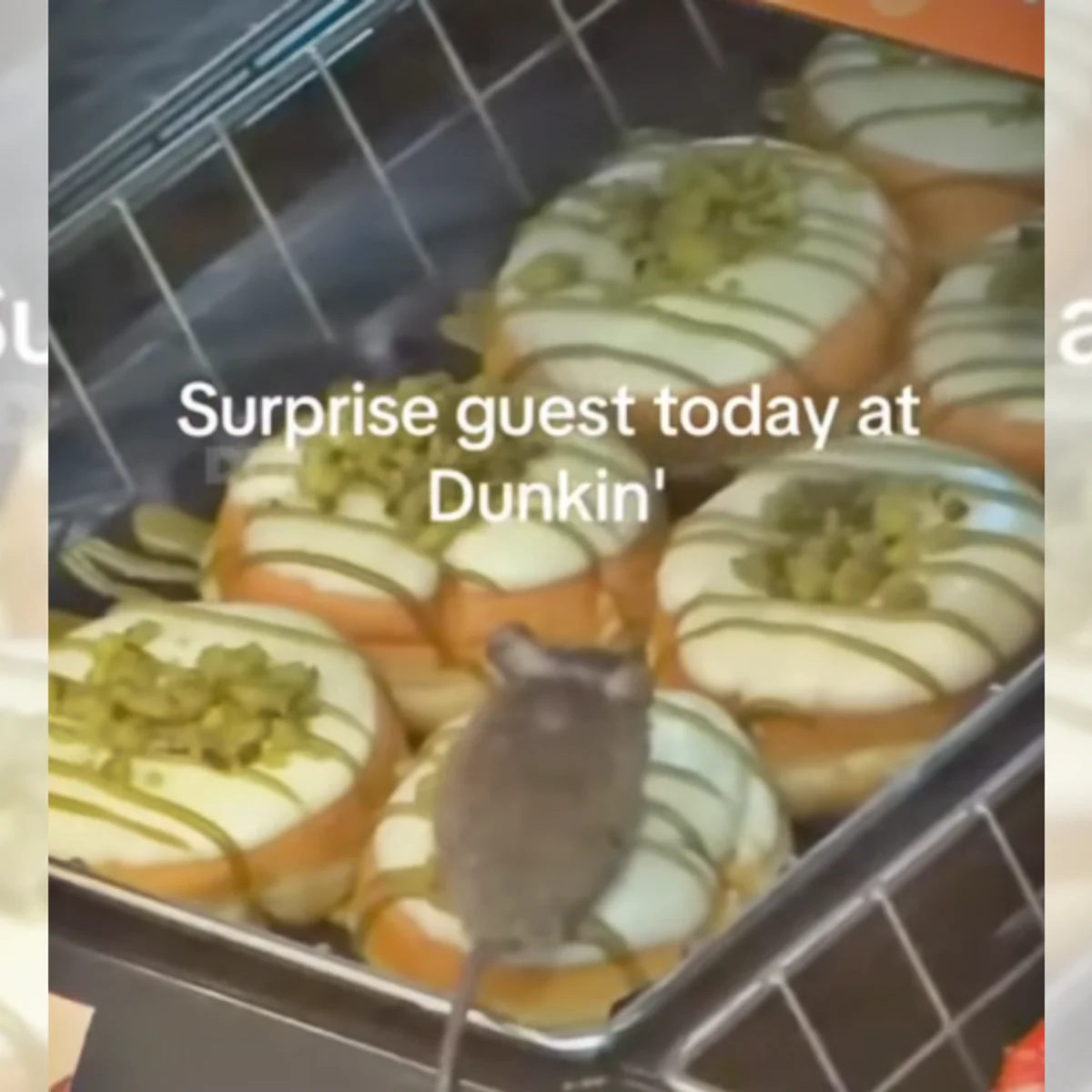 Sabor "Ratatouille"? Vídeo mostra rato em cima de donut exposto em vitrine