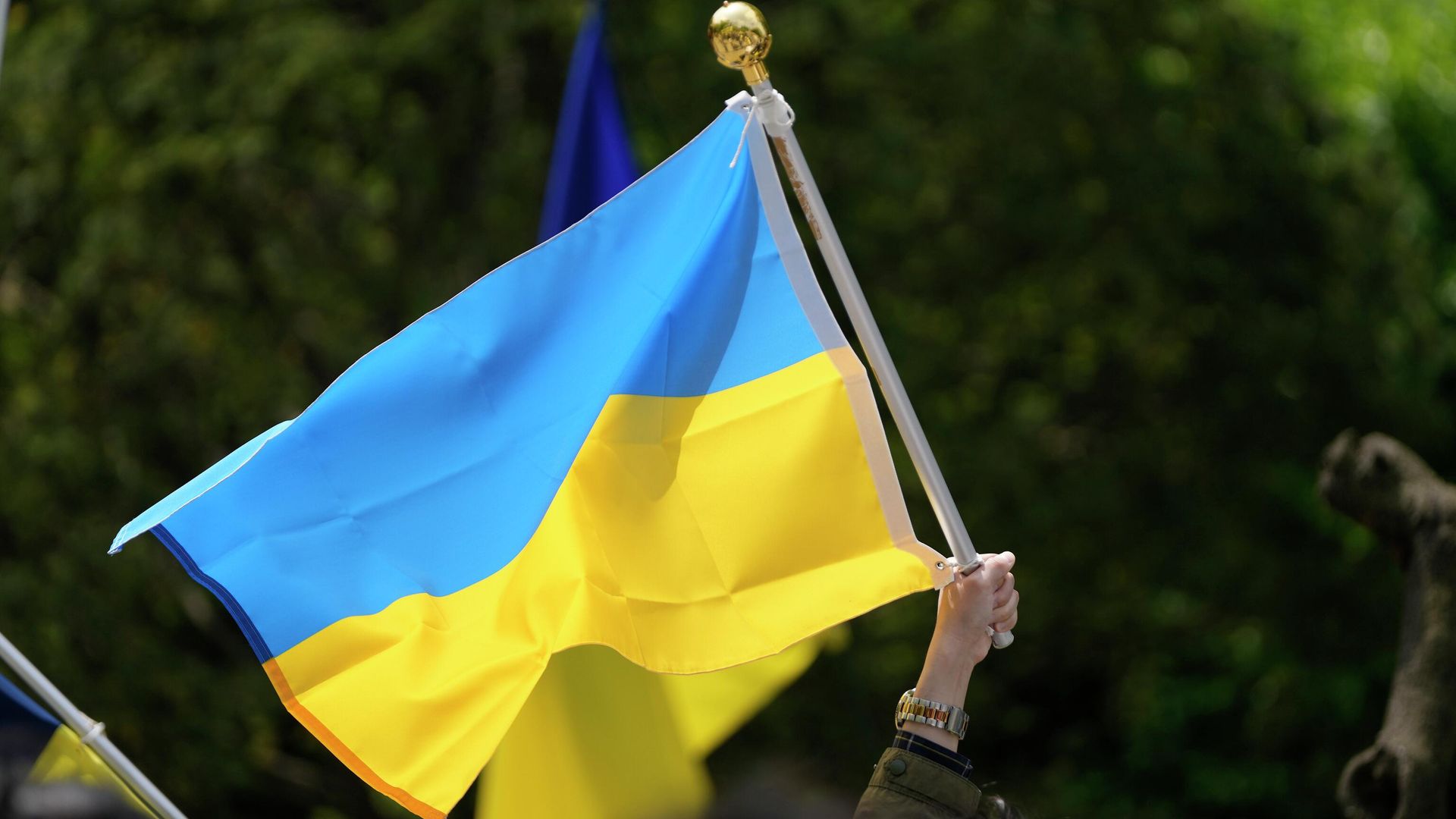 Ucranianos espalham boatos sobre uma organização alemã que auxilia o Donbass